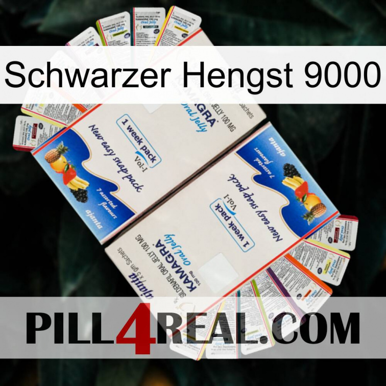 Black Stallion 9000 kamagra1